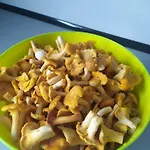 Mazurski U Kazika Nad Jeziorem Druglin Kolo Elku Appartement Rożyńsk